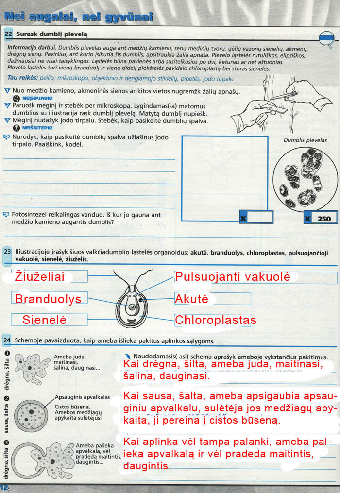 Biologija, Biologija 8